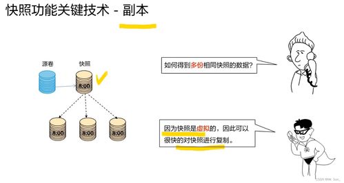 存儲數據保護技術與應用 構建可信的數據處理與存儲服務基石